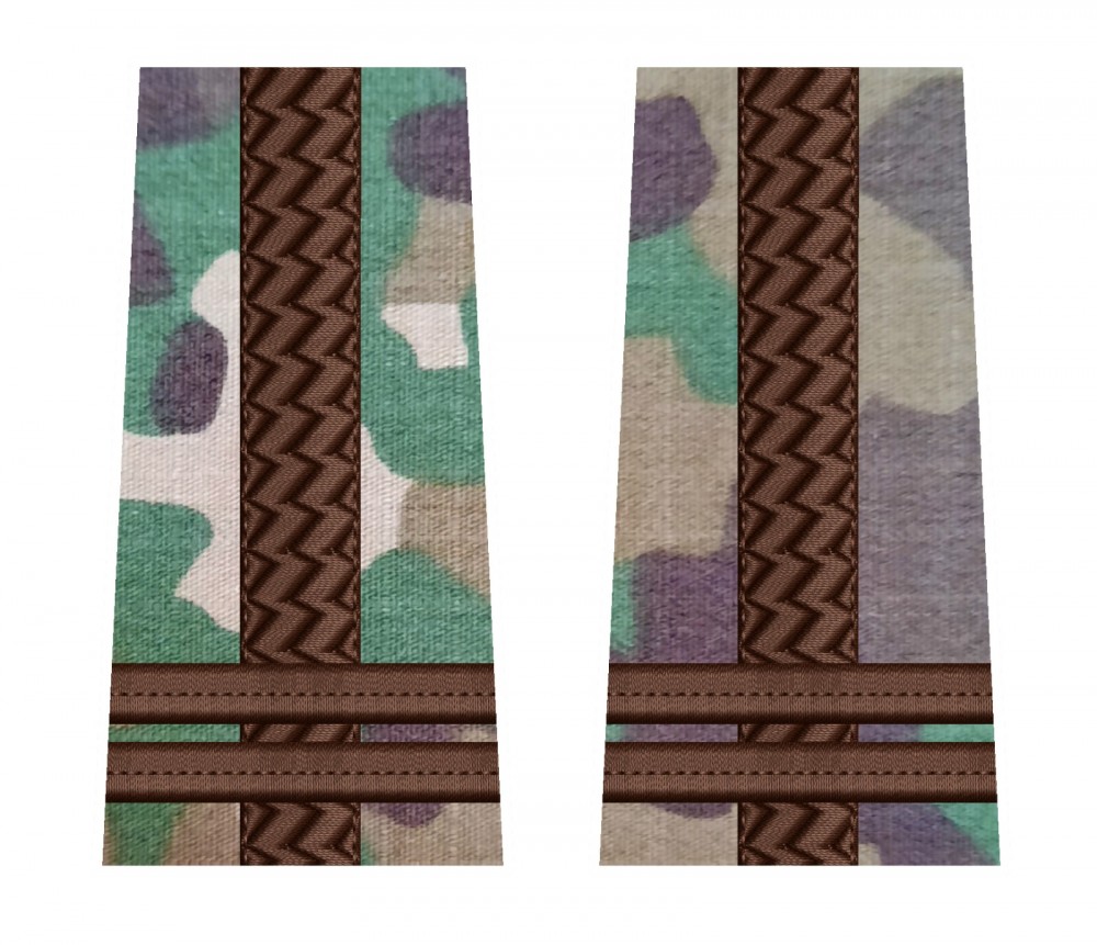 GRADE COMBAT LOCOTENENT COLONEL FORTE TERESTRE